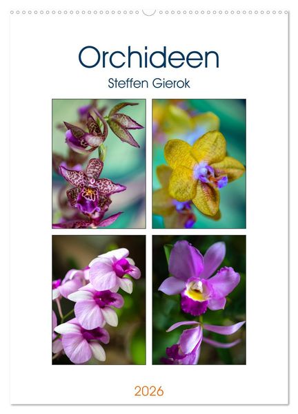 Orchideen (Wandkalender 2026 DIN A2 hoch) CALVENDO Monatskalender