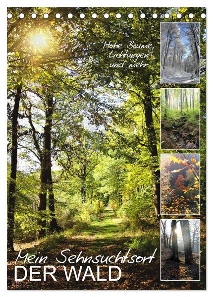 Mein Sehnsuchtsort der Wald (Tischkalender 2026 DIN A5 hoch) CALVENDO Monatskalender