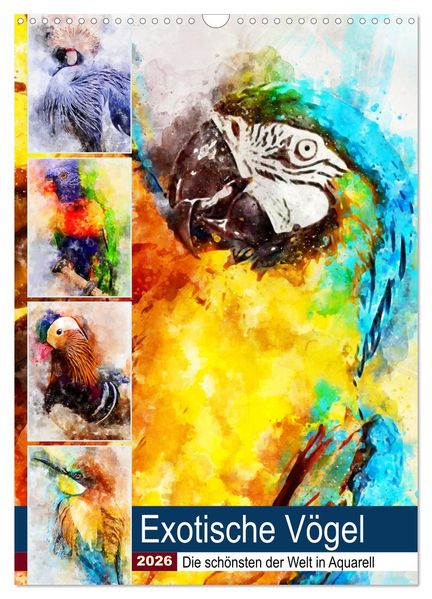 Exotische Vögel - Die Schönsten der Welt in Aquarell (Wandkalender 2026 DIN A3 hoch) CALVENDO Monatskalender