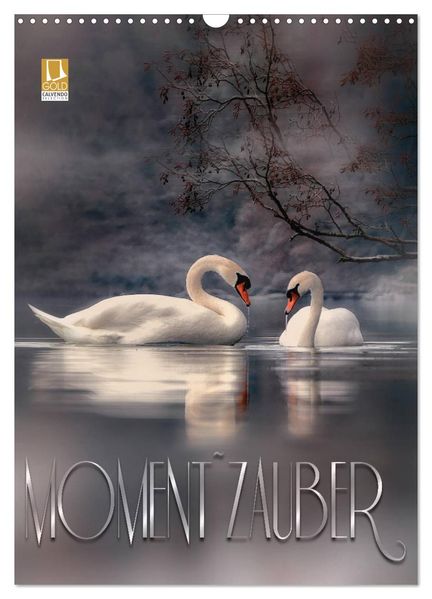Moment Zauber (Wandkalender 2026 DIN A3 hoch) CALVENDO Monatskalender
