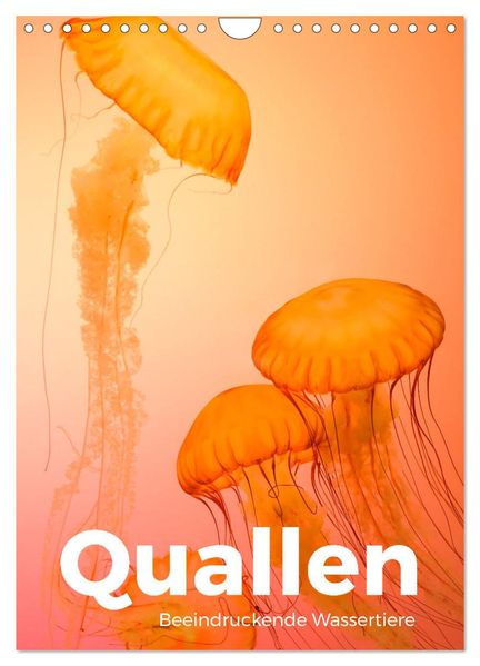 Quallen - Beeindruckende Wassertiere (Wandkalender 2026 DIN A4 hoch) CALVENDO Monatskalender