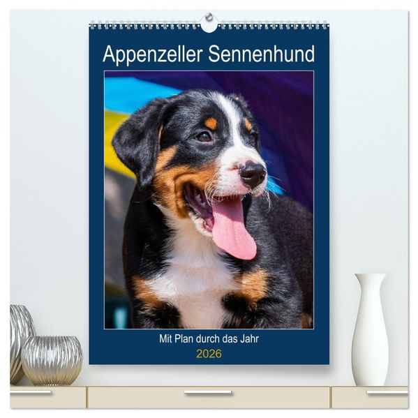 Appenzeller Sennenhund - Mit Plan durch das Jahr (hochwertiger Premium Wandkalender 2026 DIN A2 hoch) Kunstdruck in Hochglanz