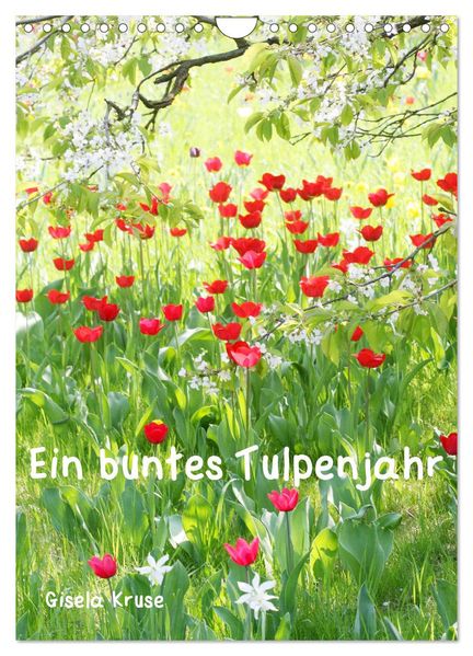 Ein buntes Tulpenjahr (Wandkalender 2026 DIN A4 hoch) CALVENDO Monatskalender