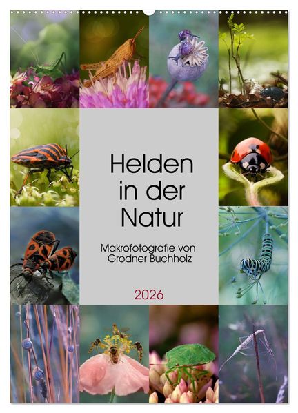 Helden in der Natur (Wandkalender 2026 DIN A2 hoch) CALVENDO Monatskalender