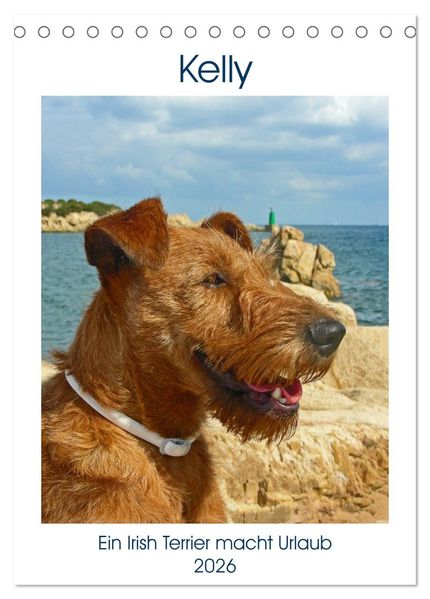 Kelly - Ein Irish Terrier macht Urlaub (Tischkalender 2026 DIN A5 hoch) CALVENDO Monatskalender