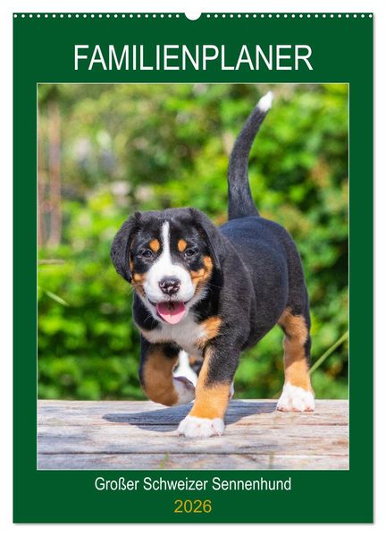 Familienplaner Großer Schweizer Sennenhund (Wandkalender 2026 DIN A2 hoch) CALVENDO Monatskalender