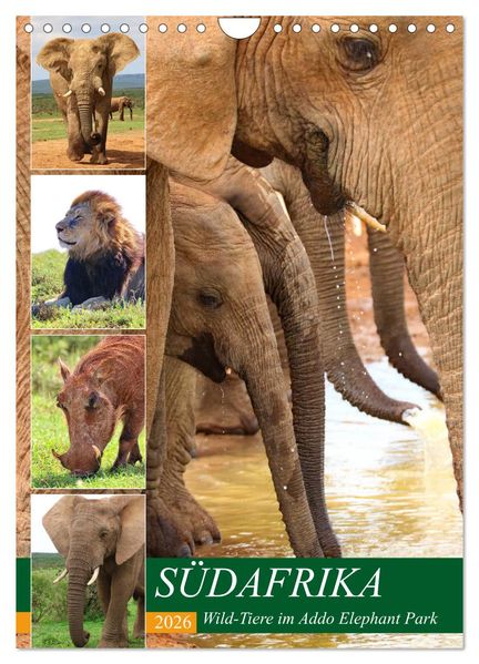 SÜDAFRIKA Wild-Tiere im Addo Elephant Park (Wandkalender 2026 DIN A4 hoch) CALVENDO Monatskalender