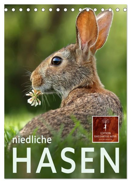Niedliche Hasen (Tischkalender 2026 DIN A5 hoch) CALVENDO Monatskalender