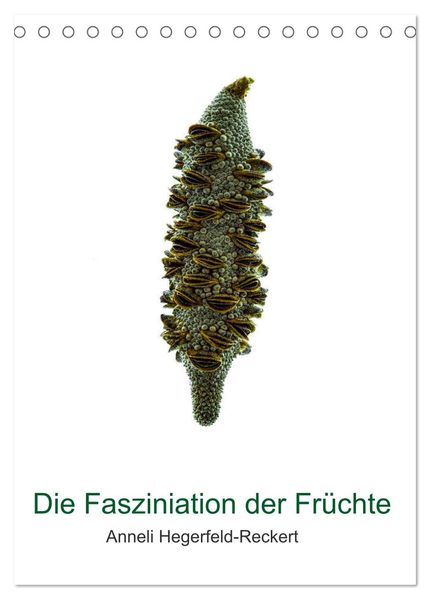 Die Faszination der Früchte (Tischkalender 2026 DIN A5 hoch) CALVENDO Monatskalender