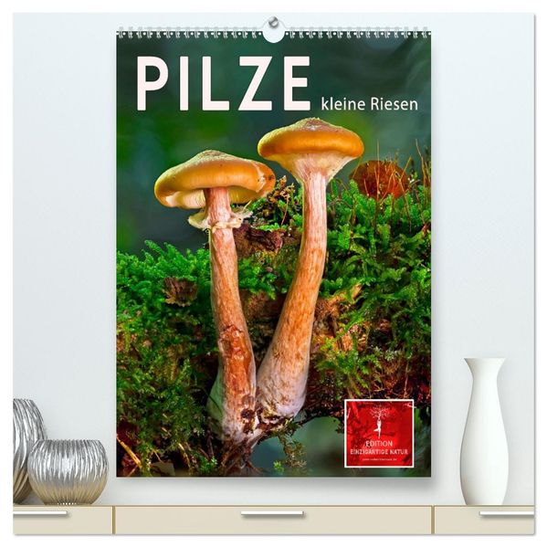 Pilze - kleine Riesen (hochwertiger Premium Wandkalender 2026 DIN A2 hoch) Kunstdruck in Hochglanz
