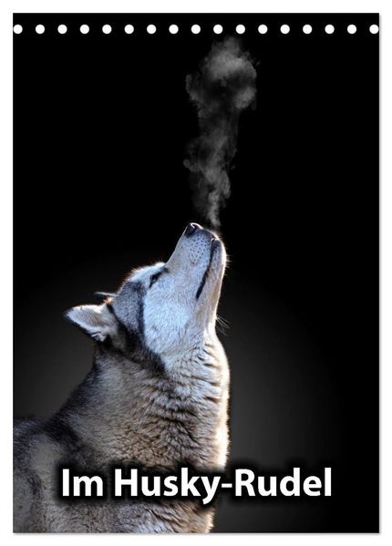 Im Husky-Rudel (Tischkalender 2026 DIN A5 hoch) CALVENDO Monatskalender