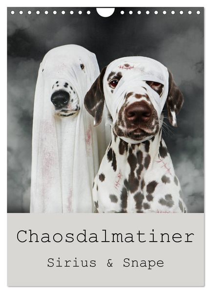 Chaosdalmatiner Sirius und Snape (Wandkalender 2026 DIN A4 hoch) CALVENDO Monatskalender