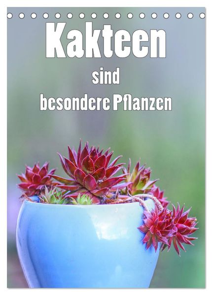 Kakteen sind besondere Pflanzen (Tischkalender 2026 DIN A5 hoch) CALVENDO Monatskalender