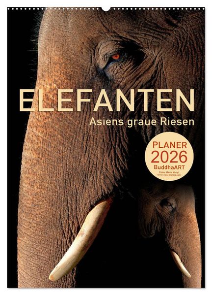ELEFANTEN - Asiens graue Riesen (Wandkalender 2026 DIN A2 hoch) CALVENDO Monatskalender