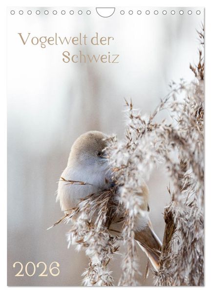 Vogelwelt der Schweiz (Wandkalender 2026 DIN A4 hoch) CALVENDO Monatskalender