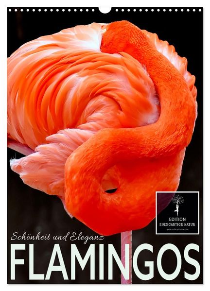 Flamingos - Eleganz und Schönheit (Wandkalender 2026 DIN A3 hoch) CALVENDO Monatskalender