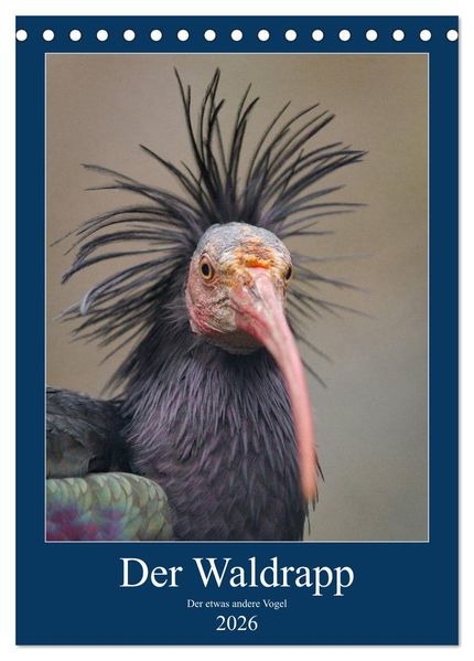 Der Waldrapp - Der etwas andere Vogel (Tischkalender 2026 DIN A5 hoch) CALVENDO Monatskalender