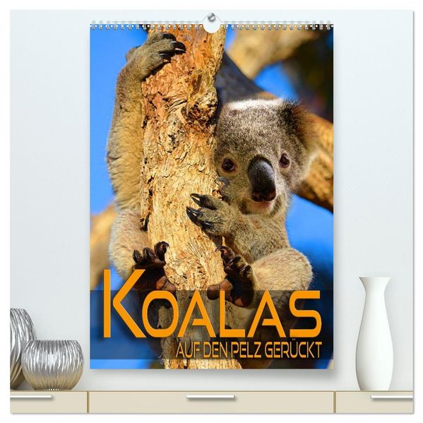 Koalas auf den Pelz gerückt (hochwertiger Premium Wandkalender 2026 DIN A2 hoch) Kunstdruck in Hochglanz