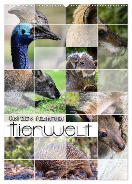 Australiens faszinierende Tierwelt (Wandkalender 2026 DIN A2 hoch) CALVENDO Monatskalender
