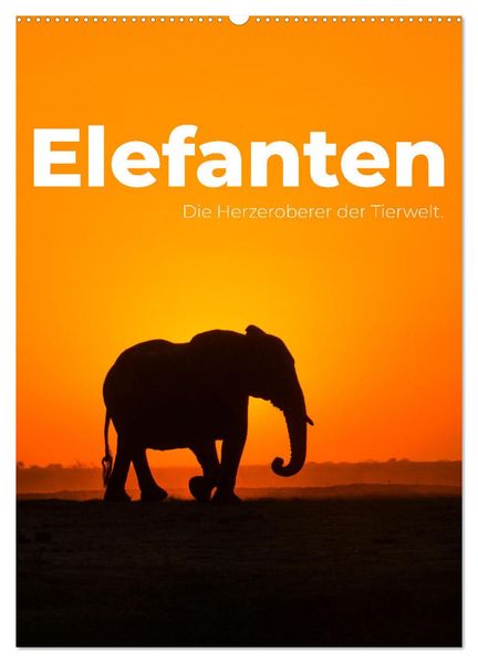 Elefanten - Die Herzeroberer der Tierwelt. (Wandkalender 2026 DIN A2 hoch) CALVENDO Monatskalender