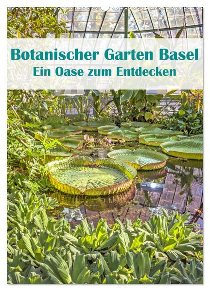 Botanischer Garten Basel - Eine Oase zum Entdecken (Wandkalender 2026 DIN A2 hoch) CALVENDO Monatskalender