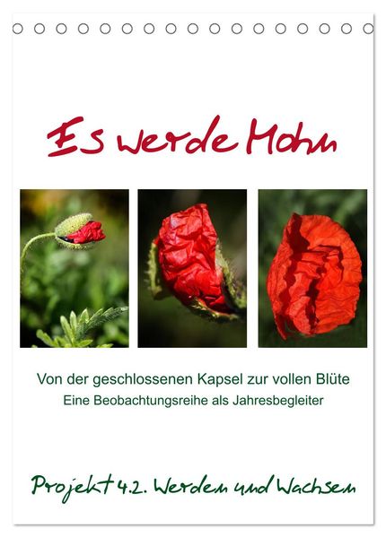 Es werde Mohn (Tischkalender 2026 DIN A5 hoch) CALVENDO Monatskalender