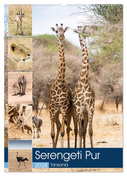 Serengeti Pur - Tansania (Wandkalender 2026 DIN A2 hoch) CALVENDO Monatskalender