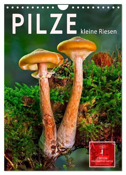 Pilze - kleine Riesen (Wandkalender 2026 DIN A4 hoch) CALVENDO Monatskalender