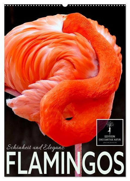 Flamingos - Eleganz und Schönheit (Wandkalender 2026 DIN A2 hoch) CALVENDO Monatskalender