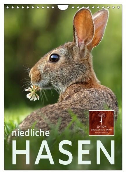 Niedliche Hasen (Wandkalender 2026 DIN A4 hoch) CALVENDO Monatskalender