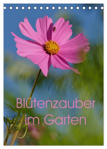 Blütenzauber im Garten (Tischkalender 2026 DIN A5 hoch) CALVENDO Monatskalender