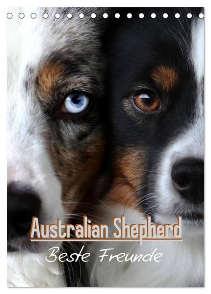 Australian Shepherd - Beste Freunde (Tischkalender 2026 DIN A5 hoch) CALVENDO Monatskalender