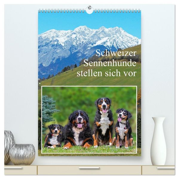 Schweizer Sennenhunde stellen sich vor (hochwertiger Premium Wandkalender 2026 DIN A2 hoch) Kunstdruck in Hochglanz