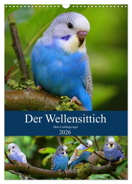 Der Wellensittich - Mein Lieblingsvogel (Wandkalender 2026 DIN A3 hoch) CALVENDO Monatskalender