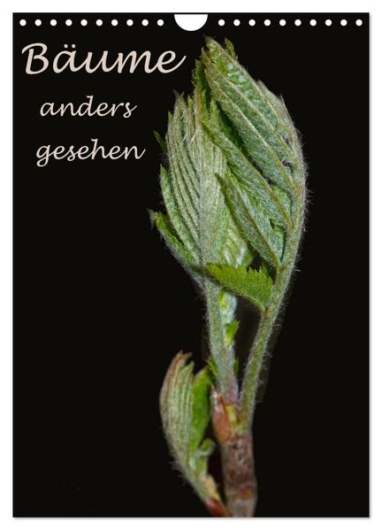 Bäume anders gesehen (Wandkalender 2026 DIN A4 hoch) CALVENDO Monatskalender