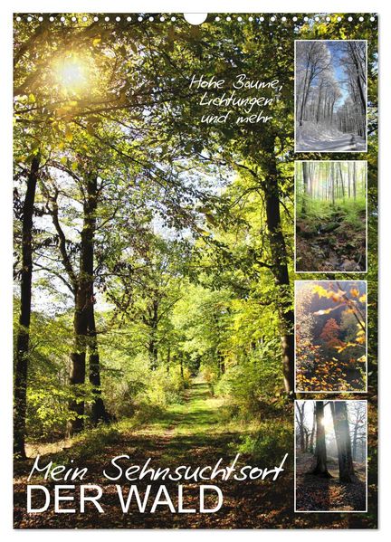 Mein Sehnsuchtsort der Wald (Wandkalender 2026 DIN A3 hoch) CALVENDO Monatskalender