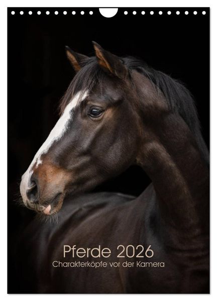 Pferde 2026 - Charakterköpfe vor der Kamera (Wandkalender 2026 DIN A4 hoch) CALVENDO Monatskalender