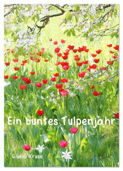 Ein buntes Tulpenjahr (Wandkalender 2026 DIN A2 hoch) CALVENDO Monatskalender