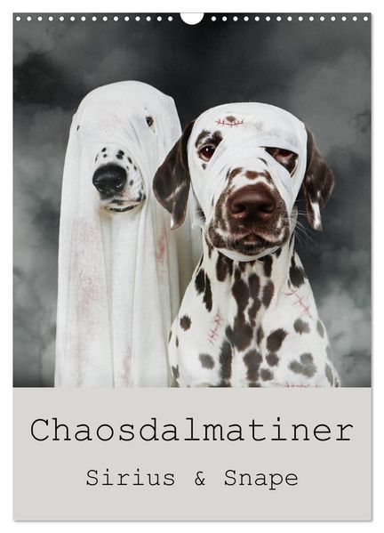 Chaosdalmatiner Sirius und Snape (Wandkalender 2026 DIN A3 hoch) CALVENDO Monatskalender