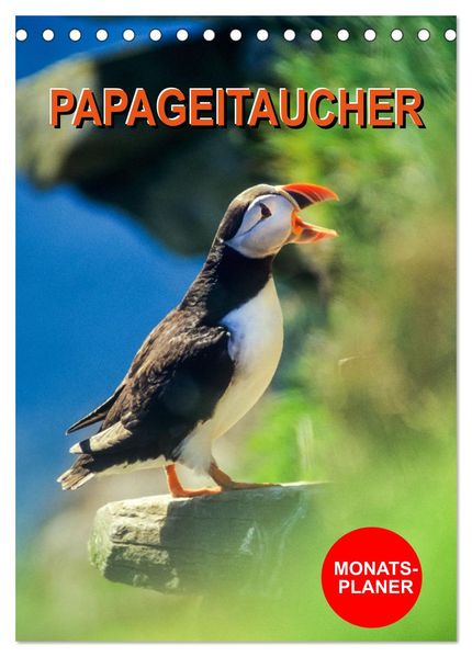 Papageitaucher Monatsplaner (Tischkalender 2026 DIN A5 hoch) CALVENDO Monatskalender