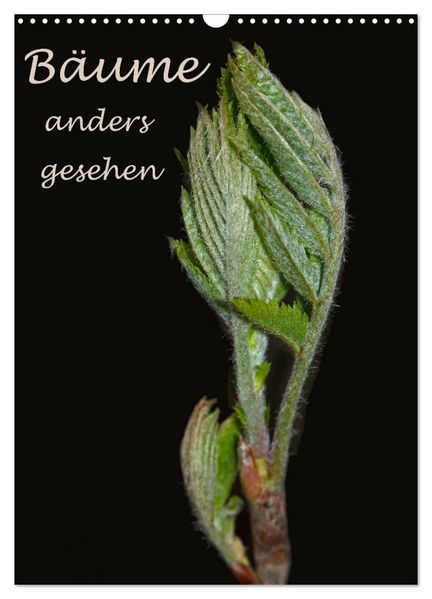 Bäume anders gesehen (Wandkalender 2026 DIN A3 hoch) CALVENDO Monatskalender