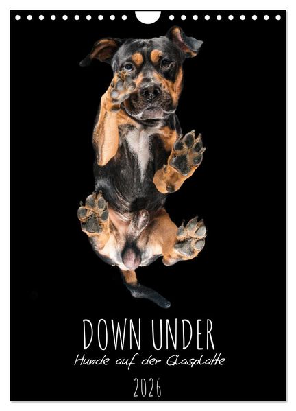 Down Under - Hunde auf der Glasplatte (Wandkalender 2026 DIN A4 hoch) CALVENDO Monatskalender