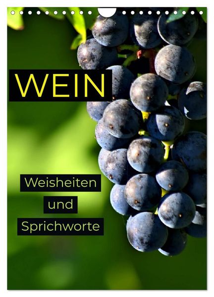 WEIN Weisheiten und Sprichworte (Wandkalender 2026 DIN A4 hoch) CALVENDO Monatskalender