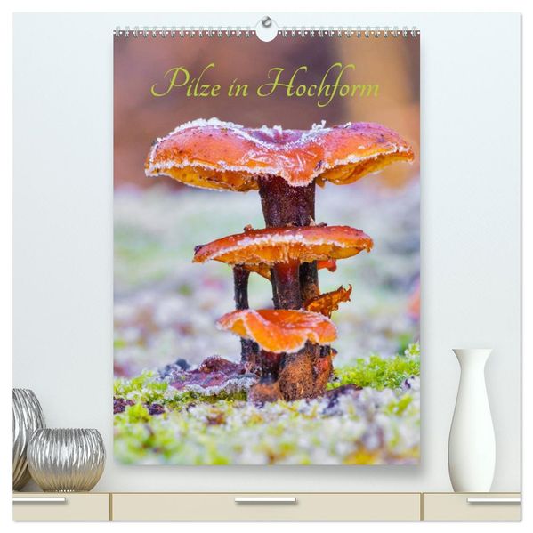 Pilze in Hochform (hochwertiger Premium Wandkalender 2026 DIN A2 hoch) Kunstdruck in Hochglanz