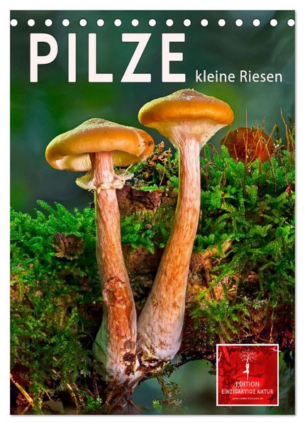 Pilze - kleine Riesen (Tischkalender 2026 DIN A5 hoch) CALVENDO Monatskalender