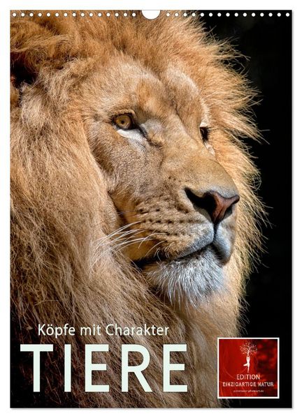 Tiere - Köpfe mit Charakter (Wandkalender 2026 DIN A3 hoch) CALVENDO Monatskalender