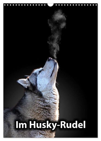Im Husky-Rudel (Wandkalender 2026 DIN A3 hoch) CALVENDO Monatskalender