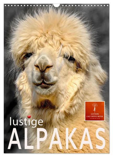 Lustige Alpakas (Wandkalender 2026 DIN A3 hoch) CALVENDO Monatskalender