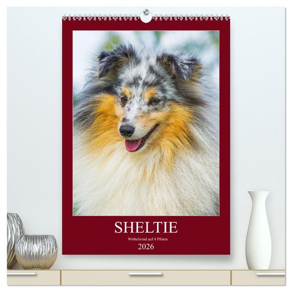 Sheltie - Wirbelwind auf 4 Pfoten (hochwertiger Premium Wandkalender 2026 DIN A2 hoch) Kunstdruck in Hochglanz