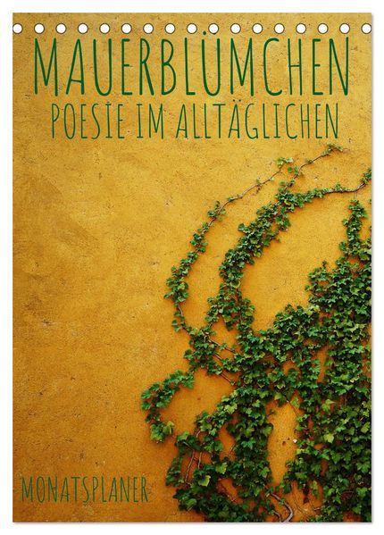 Mauerblümchen - Poesie im Alltäglichen als Monatsplaner (Tischkalender 2026 DIN A5 hoch) CALVENDO Monatskalender